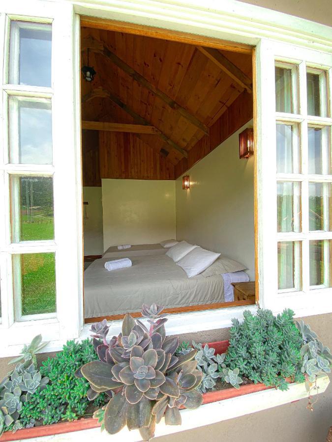 Pousada Rural Pavao - Suites E Chales 乌鲁比西 外观 照片