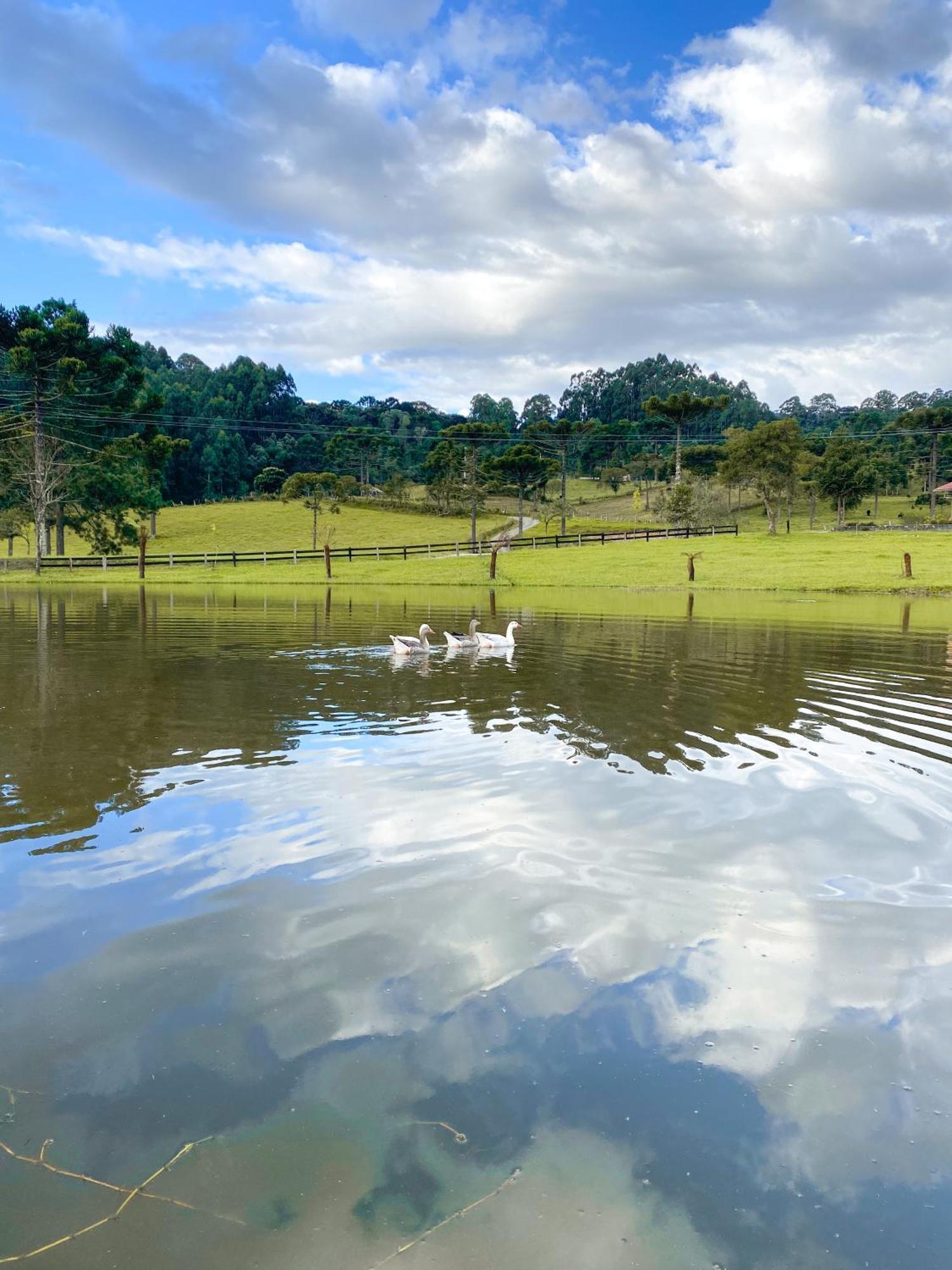 Pousada Rural Pavao - Suites E Chales 乌鲁比西 外观 照片